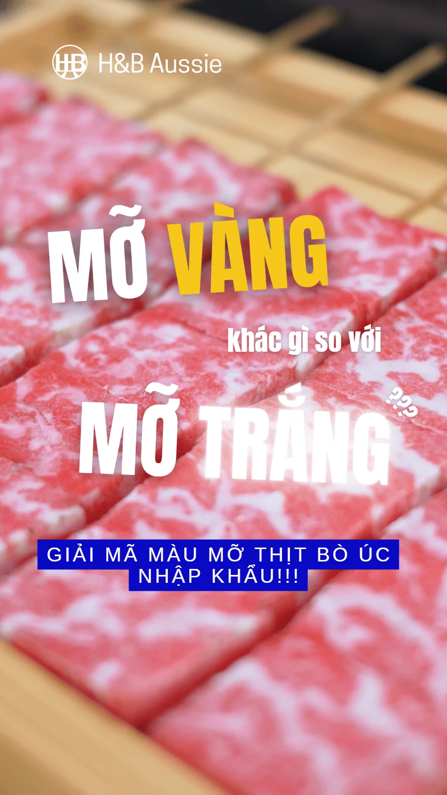 MỠ VÀNG HAY MỠ TRẮNG? GIẢI MÃ MÀU MỠ THỊT BÒ ÚC NHẬP KHẨU